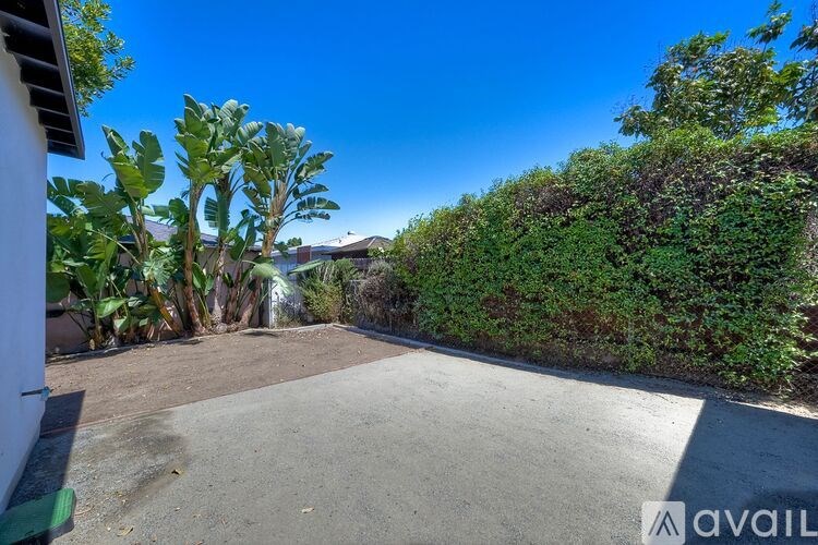A sunny day in a backyard with a clear blue sky.