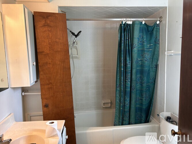 A bathroom with a wooden door and a shower curtain.