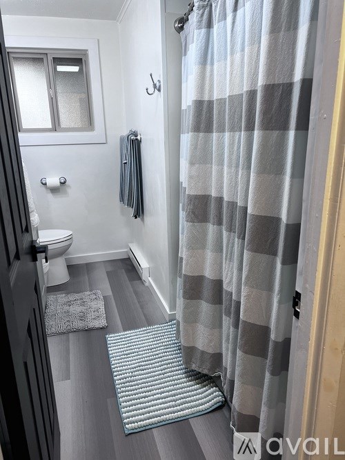 A bathroom with a toilet, a window, a shower curtain and a rug.