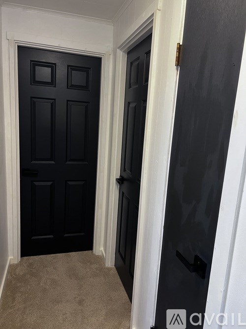 A black door with a handle and a white door with a handle.