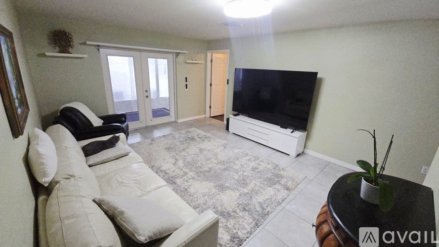 A living room with a couch, a television, and a rug.
