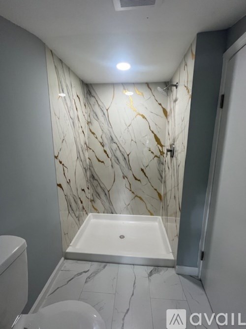 A bathroom with a marble patterned shower area.