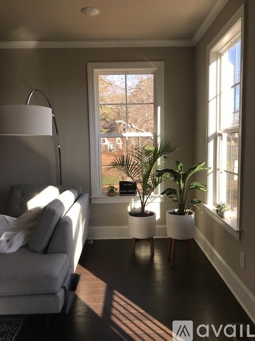 A living room with a grey couch and two potted plants.