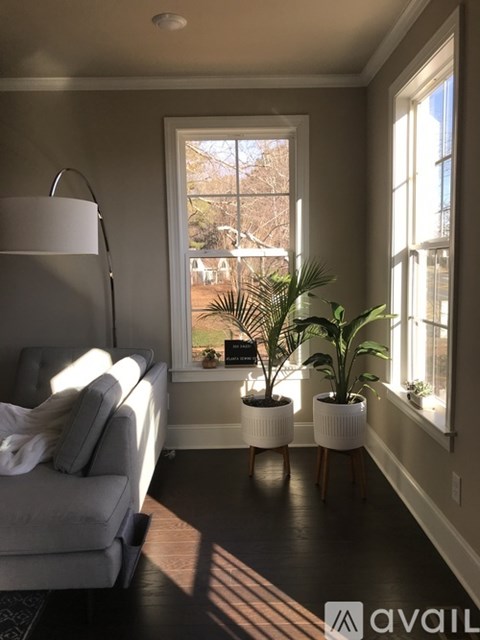 A living room with a grey couch and two potted plants.