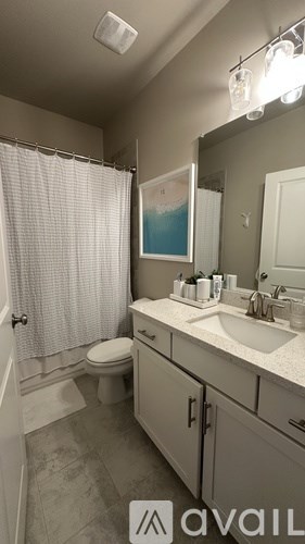 A bathroom with a toilet, sink, and shower curtain.