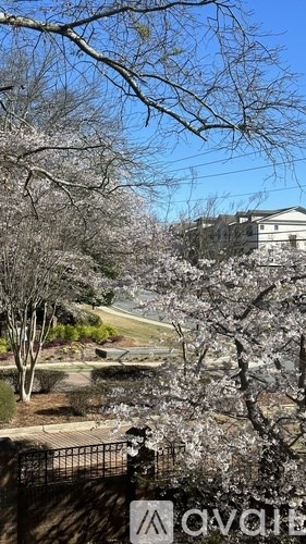 A tree with white flowers is in the foreground of this image.