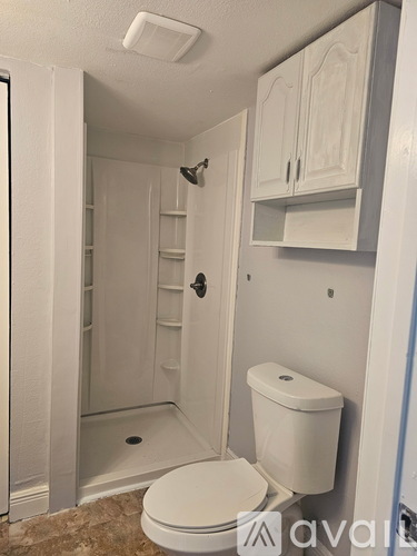 A white toilet in a small bathroom with a walk-in shower.