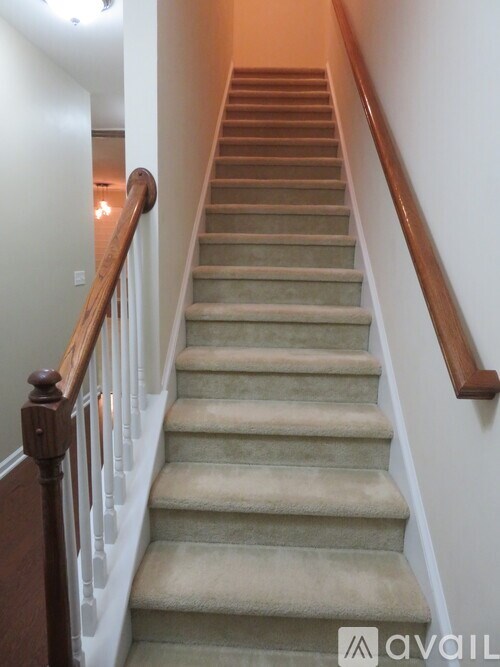 A staircase with beige carpeted steps and wooden handrails.