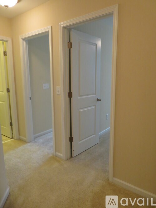Three doors in a hallway with a carpeted floor.