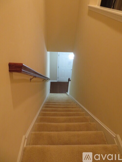 A staircase with beige carpeted steps and a wooden handrail.