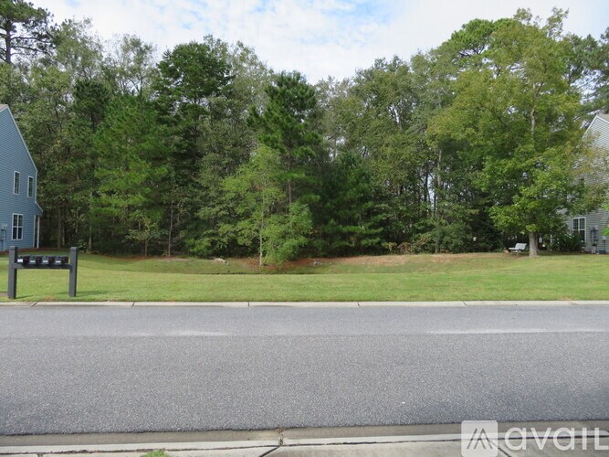 A street with a house and trees in the background.
