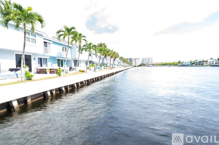 A row of palm trees line a waterfront.