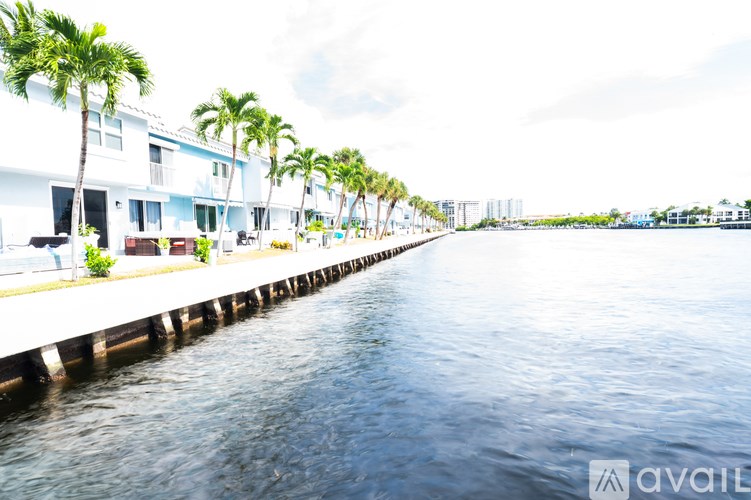 A row of palm trees line a waterfront.