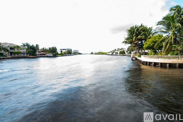 A calm body of water with a dock on the right and palm trees in the background.