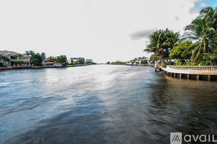 A calm body of water with a dock on the right and palm trees in the background.