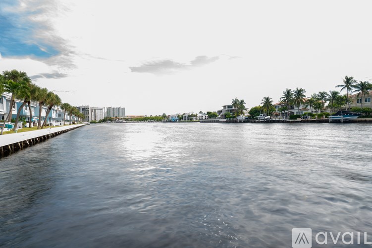 A calm body of water with a dock and palm trees in the background.