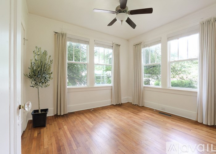 A room with a ceiling fan and a potted plant.