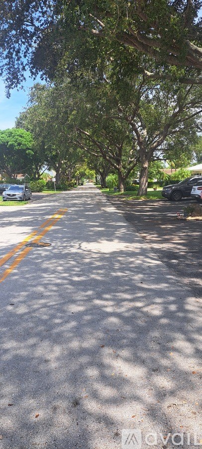 A tree-lined street with cars parked on the side.