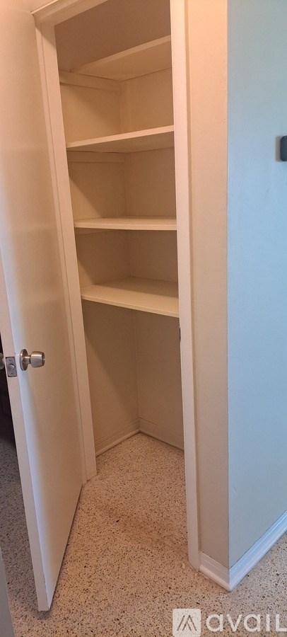 A white door is open to a white closet with shelves.
