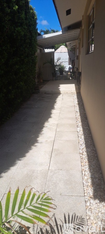 A sunny day in a narrow alley with a white wall on the right and a green plant on the left.