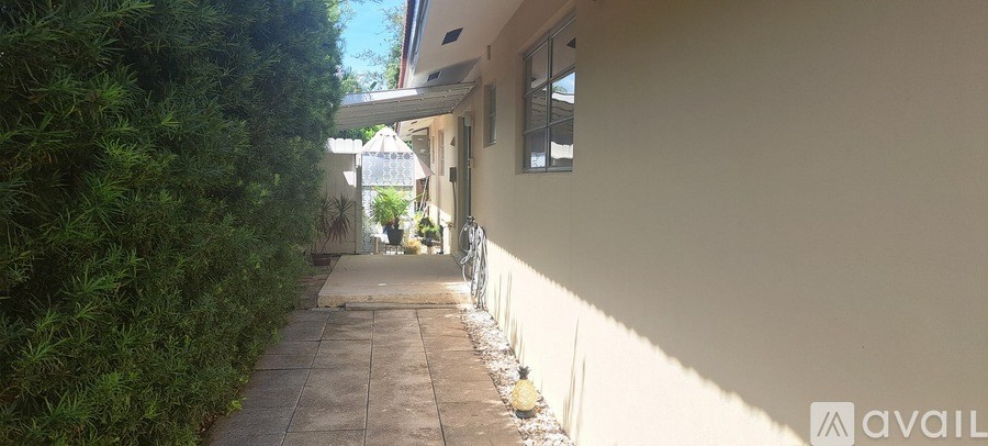 A narrow alley with a wall on one side and a hedge on the other.