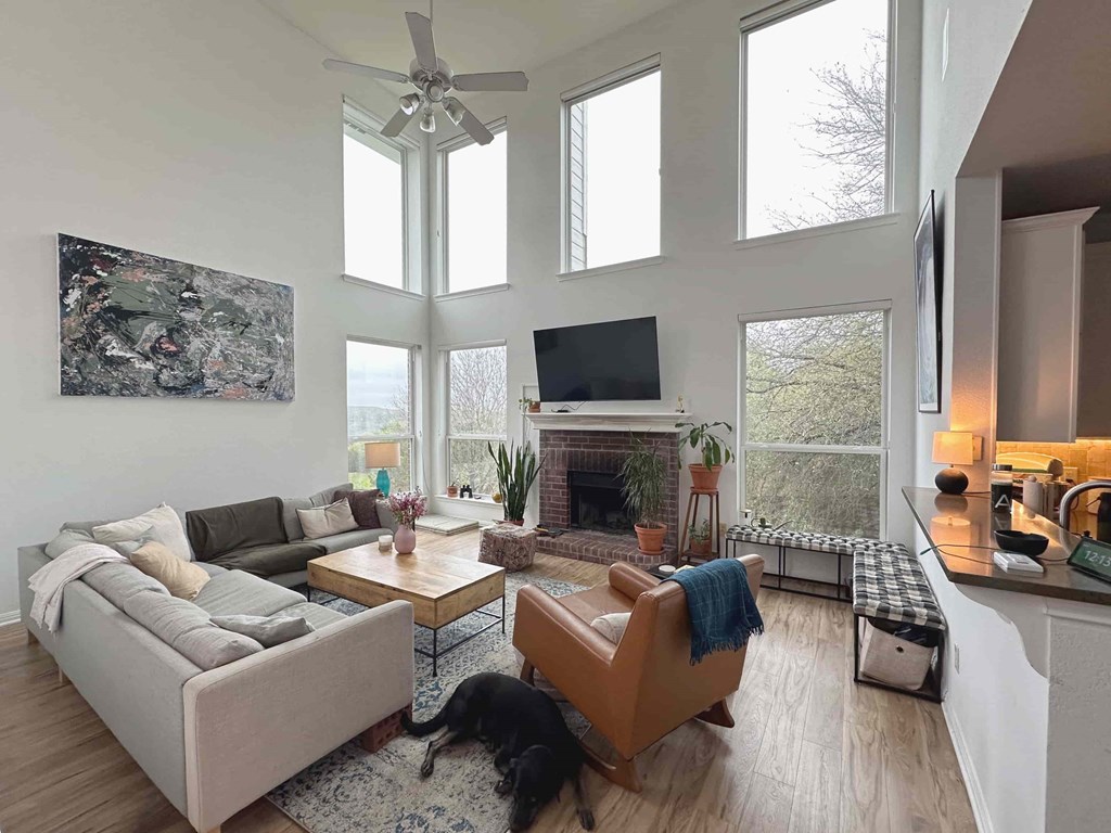 A dog is sitting on a rug in a living room with a fireplace and a television.