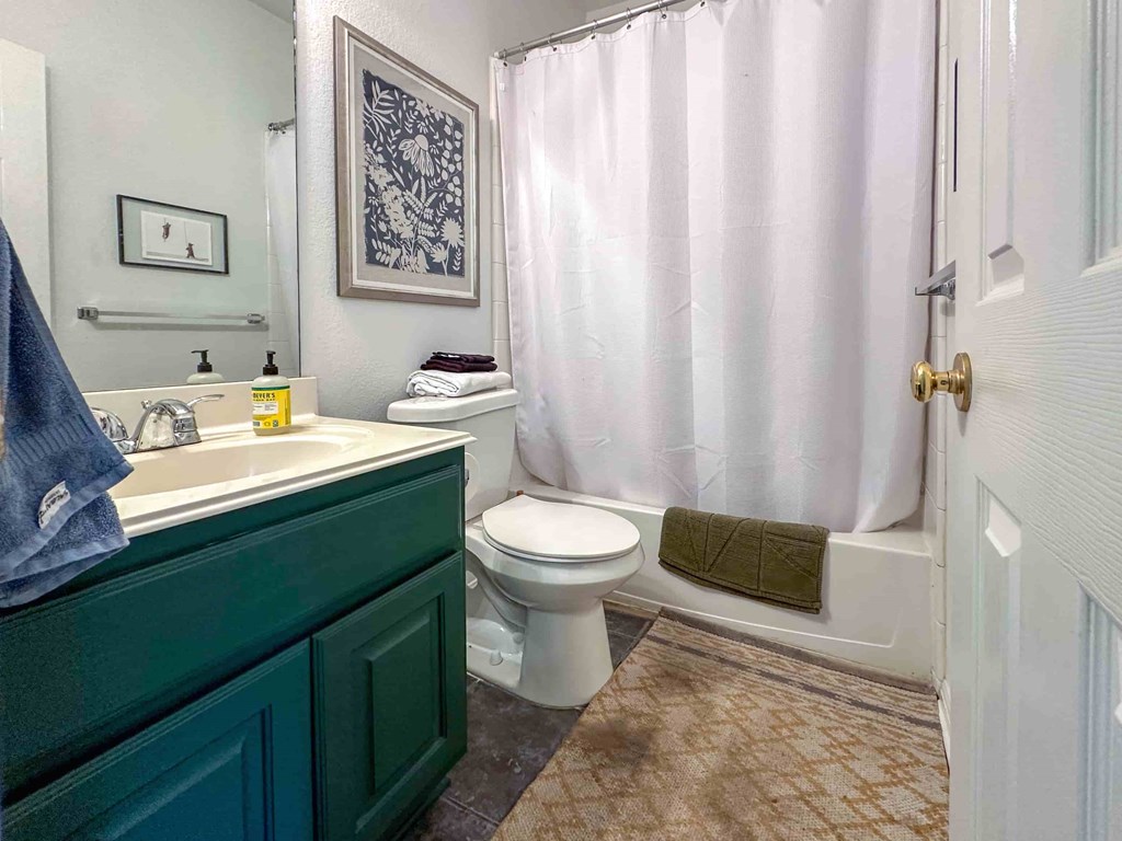 A bathroom with a toilet, sink, and shower curtain.