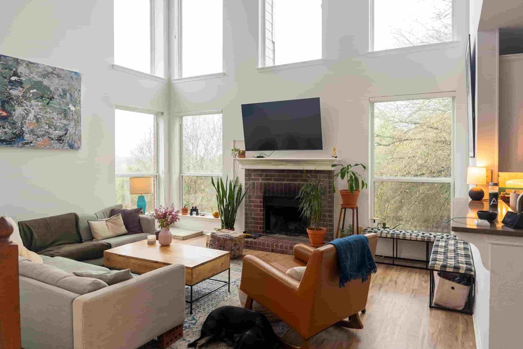 A living room with a fireplace, a television, and a dog.