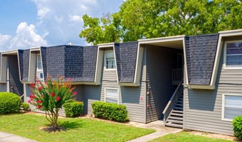8024 Southside Blvd 1-2 Beds Apartment for Rent - Photo Gallery 4