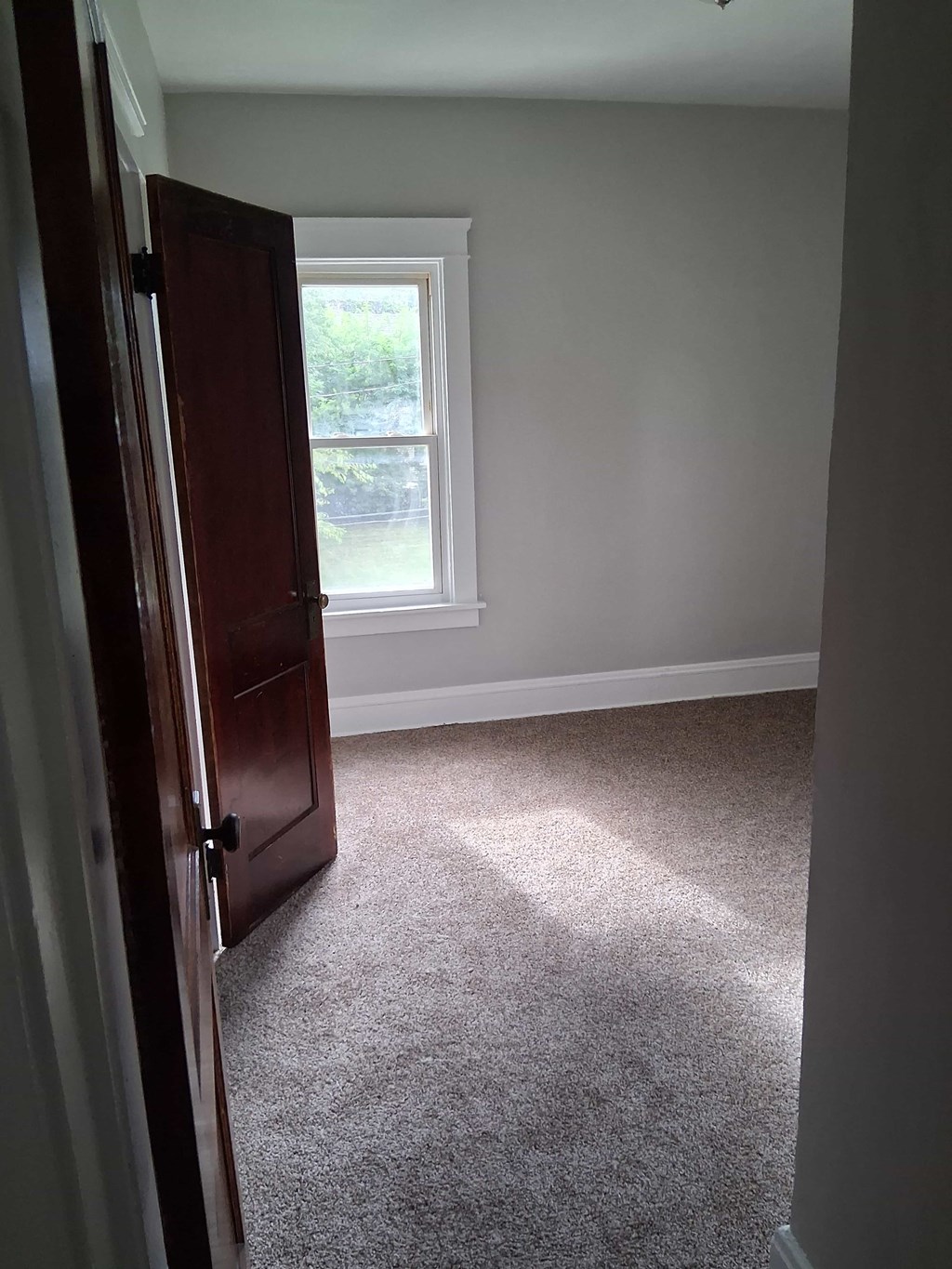A room with a closed door and a carpet on the floor.