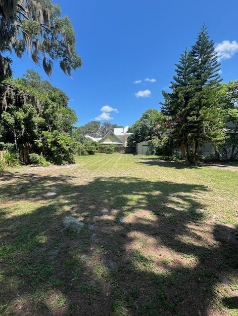 A tree in a yard casts a shadow on the ground.