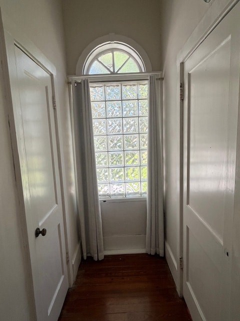 A hallway with a white door and a window with a white frame.