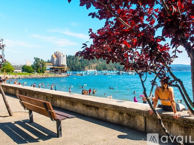 A person is sitting on a bench by a pool with a tree in front of them.