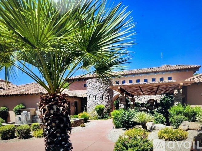 A palm tree stands in front of a building with a stone archway.