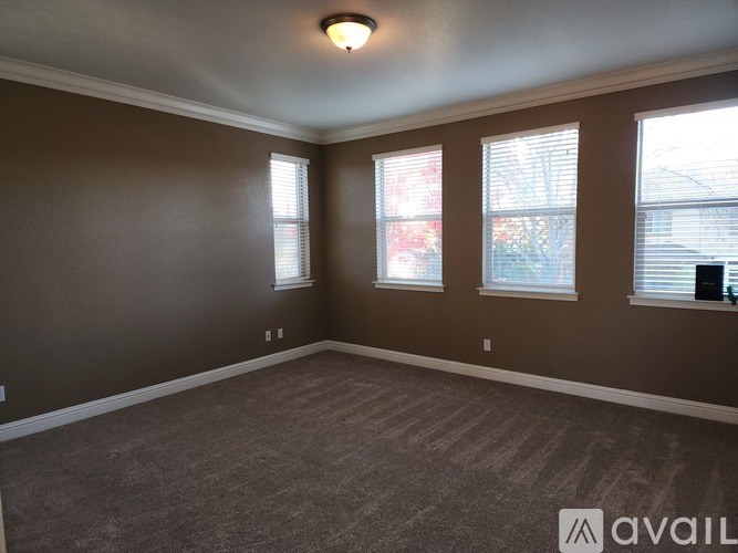 A room with brown walls and carpeted floor.