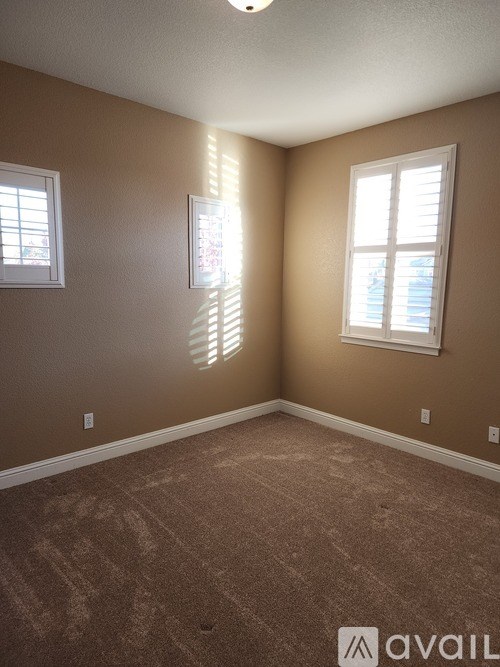 A room with brown walls and carpeting, with two windows and a ceiling light.