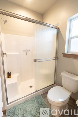 A bathroom with a toilet and a walk-in shower.
