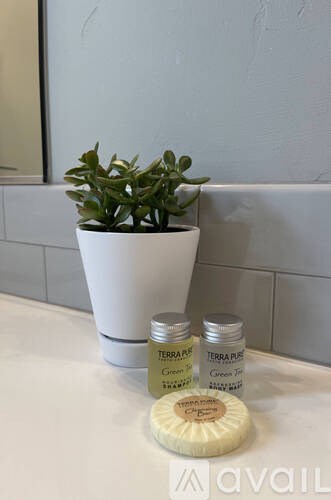 A white pot with a green plant in it sits on a white countertop next to two small containers of Terra-Cottem soil.