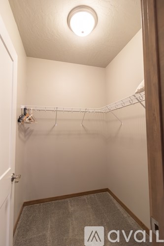 A small, empty closet with a carpeted floor and a single light fixture on the ceiling.