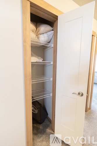 A white door is open to reveal a small pantry with shelves and a bag on the floor.