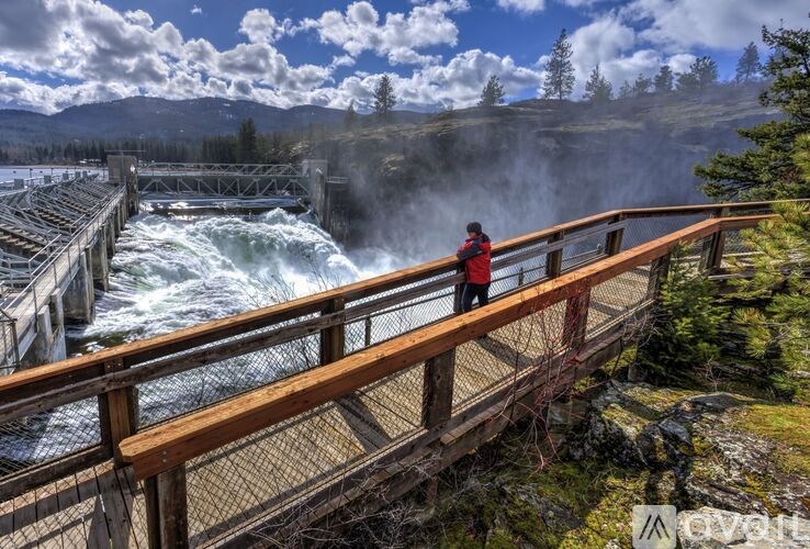 A person in a red jacket is standing on a wooden bridge over a river.