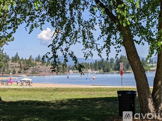 A tree is in the foreground of a beach scene with people on the water.