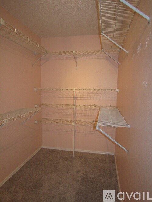 Empty walk-in closet with shelves and a carpeted floor.