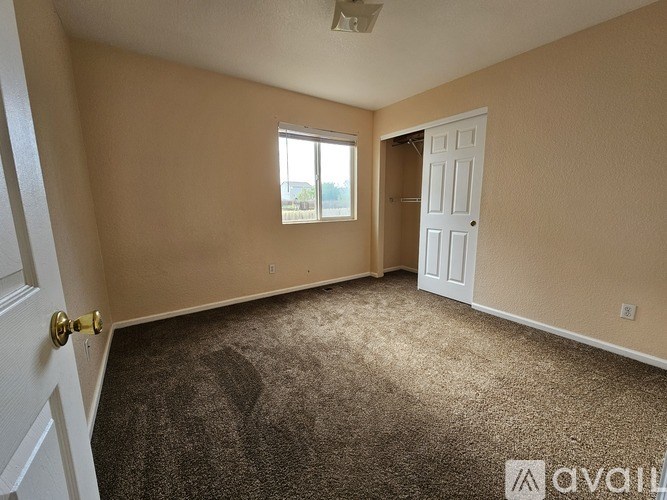 A room with a carpeted floor, a window, and a door.