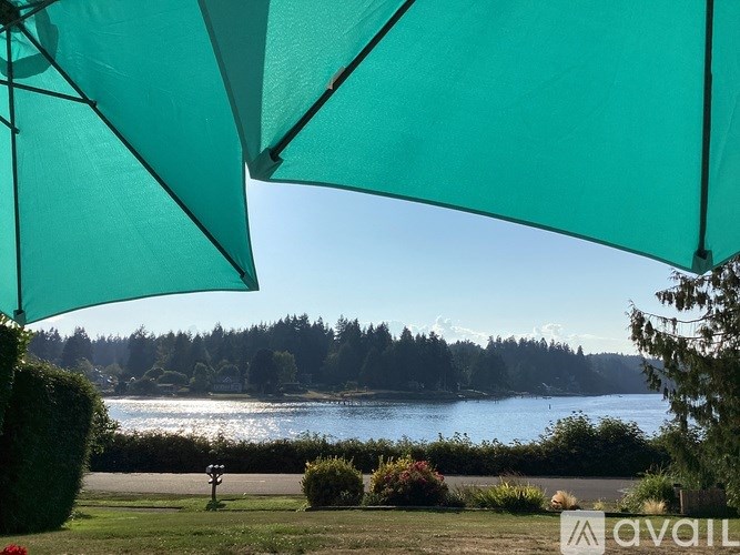 A green umbrella is open over a lawn with a view of a lake and trees in the background.