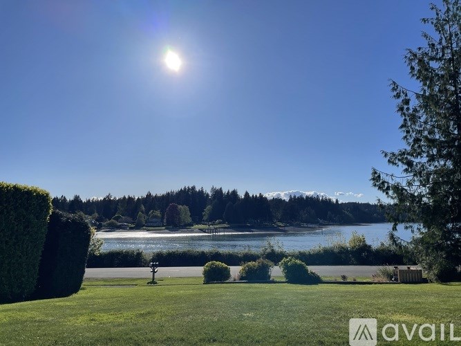 A sunny day at the park with a lake in the distance.
