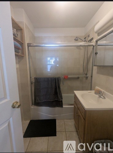 A bathroom with a walk-in shower and a sink.