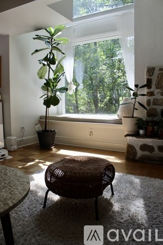 A living room with a brown wicker chair and a potted plant.
