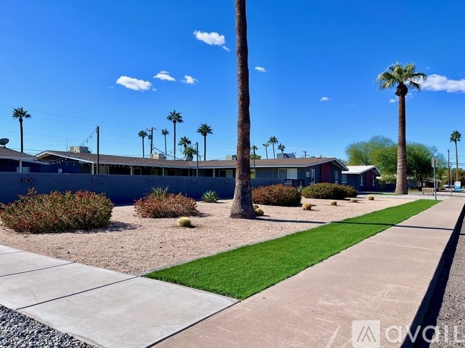 A sunny day in a residential area with palm trees and houses.