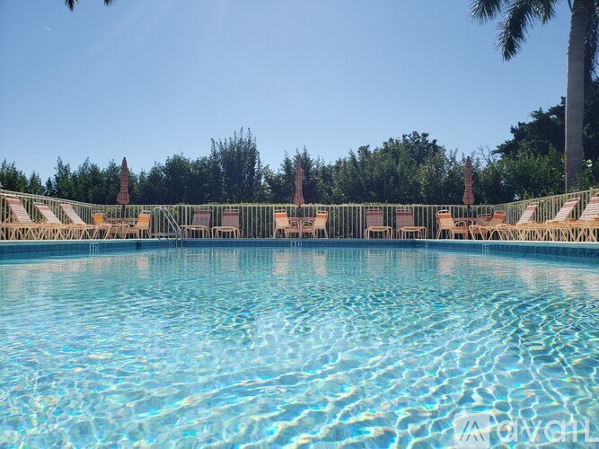 A pool with clear blue water and a wooden fence in the background.
